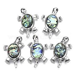 Брошь из ракушек морского ушка / пауа RESI-S376-09