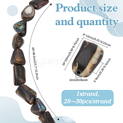 1 нить бусин из натуральной ракушки абалон/ракушки пауа SSHEL-ME0001-01