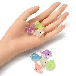 10шт 5 цвета светящаяся смола украшение дисплея&nbsp;DJEW-YW0001-03