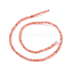 Нити бусин из натуральных пресноводных ракушек SHEL-M018-06