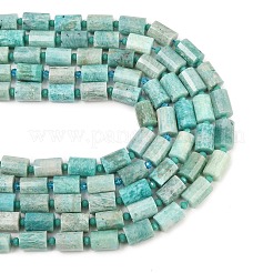 Природных амазонит бисер нитей&nbsp;G-G453-E04-10x14mm