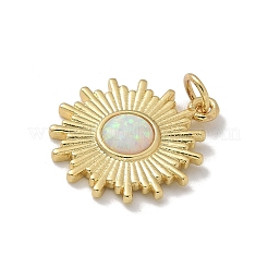 Подвески латуни cmолы&nbsp;KK-M300-01G-01