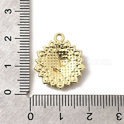 Подвески из сплава &nbsp;FIND-H015-04G-02