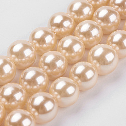 Chapelets de perles de coquille, ronde, peachpuff, 8mm, Trou: 1mm, Environ 48 pcs/chapelet, 15.7 pouce (39.8 cm)
