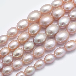 Hebras de perlas naturales cultivadas de agua dulce., gradual, cardo, 5~12x4~9mm, agujero: 0.8 mm, aproximamente 62 pcs / cadena, 15.7 pulgada