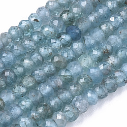 Chapelets de perles en apatite naturelle, rondelle, facette, 3x2mm, Trou: 0.7mm, Environ 185 pcs/chapelet, 15.55 pouce (39.5 cm)