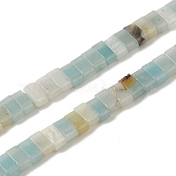 Brins de perles d'amazonite de fleurs naturelles, 2-trou, rectangle, 2.5~3x5x2.5mm, Trou: 0.8mm, Environ 138~140 pcs/chapelet, 15.28''~15.31'' (38.8~38.9 cm)