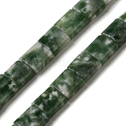 Натуральные зеленые пятна яшмовых нитей, 2-луночное, квадратный, 5.5x5.5x2.5 мм, отверстие : 0.8 мм, около 71 шт / нитка, 15.24 дюйм (38.7 см)
