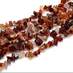 Natural Carnelian Beads Strands, Chips, Dyed & Heated, 3~5x3~5mm, Hole: 1mm, about 31.5inch