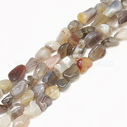 Chapelets de perles en agate naturelle du Botswana, pierre roulée, pépites, 9~20x8~13x4~13mm, Trou: 1mm, Environ 30~55 pcs/chapelet, 15.7 pouce