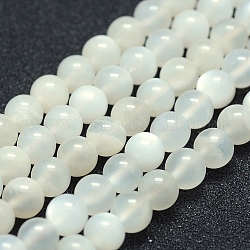 Naturelles perles pierre de lune blanc brins, a- année, ronde, 8mm, Trou: 1mm, Environ 49 pcs/chapelet, 15.5 pouce (39.5 cm)