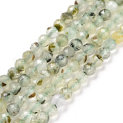 Natur Prehnit Perlen Stränge, facettiert, Runde, 4 mm, Bohrung: 0.7 mm, ca. 93~94 Stk. / Strang, 15.35~15.55 Zoll (39~39.5 cm)