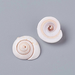 Perle naturali di conchiglie di shiva, forma a conchiglia, colore conchiglia, 20~23x18~19x8~10mm, Foro: 1.2 mm