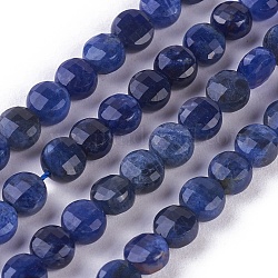 Chapelets de perles en sodalite naturelle, facette, plat rond, 6x4mm, Trou: 1mm, Environ 70 pcs/chapelet, 15.3 pouces ~ 15.75 pouces (39~40 cm)