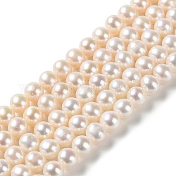 Chapelets de perles de nacre naturell, ronde, niveau 5a+, papayawhip, 5~5.5mm, Trou: 0.5mm, Environ 72 pcs/chapelet, 15.55'' (39.5 cm)