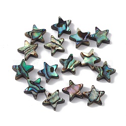 Perles de coquille d'ormeau naturel/coquille de paua, étoiles du nord, colorées, 10x10.5x3.5mm, Trou: 0.8mm