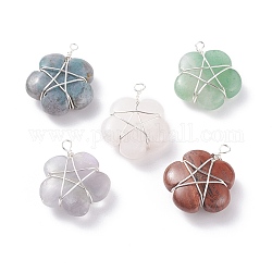 Natural Gemstone Pendants, with Copper Wire Wrapped, Flower, Platinum, 23.5~26x20x8~9.5mm, Hole: 2mm