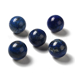 Perles en lapis-lazuli naturel, pas de trous / non percés, teinte, ronde, 25~25.5mm