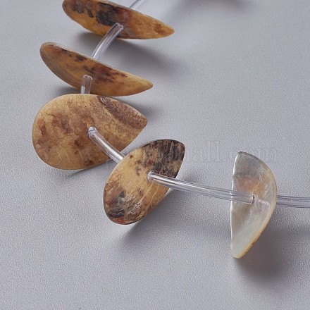 Chapelets de perles en coquille d'eau douce  SHEL-G011-10-1