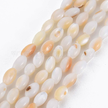 Natural Freshwater Shell Beads Strands SHEL-N027-08B-1