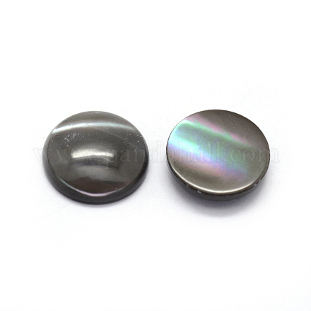 Cabochons en coquille BSHE-E566-01-10mm-1