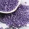 Baking Paint Glass Seed Beads, Peanut, Medium Purple, 3.5~4x2~2.5x2~2.3mm, Hole: 0.8mm, about 8000pcs/pound