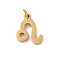304 Stainless Steel Charms, with Jump Ring, Golden, Constellation Charm, Leo, 12x10x1.5mm, Hole: 3mm