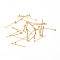 304 Stainless Steel Ball Head Pins, Golden, 16x0.6mm, 22 Gauge, Head: 1.8mm