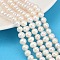 Natural Cultured Freshwater Pearl Beads Strands, Grade 4A++, Potato, Seashell Color, 6~7mm, Hole: 0.6mm, about 54~59pcs/strand, 13.46~14.49 inch(34.2~36.8cm)