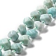 Natural Amazonite Beads Strands G-B027-A02-1