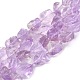 Rough Raw Natural Amethyst Beads Strands G-C069-01-1