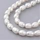 Collane di perline di perle naturali NJEW-R249-12-3