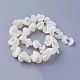 Chapelets de perles de coquillage SSHEL-E571-37-2