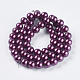 Glass Pearl Beads Strands HY14mm104-2