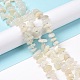Natural White Moonstone Beads Strands G-D480-A16-03-5