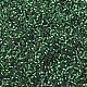 Perles miyuki delica X-SEED-J020-DB0605-3