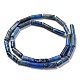 Natural Lapis Lazuli Beads Strands G-C084-B01-01-3
