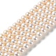 Natural Pearl Beads Strands PEAR-E018-65-1