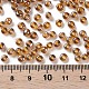 Perles de rocaille en verre SEED-A006-4mm-102C-3