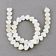 Chapelets de perles en coquillage naturel X-SSHEL-Q296-40-1