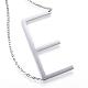 304 Stainless Steel Pendant Necklaces STAS-D162-12E-1