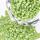 Opaque Glass Seed Beads SEED-S023-01C-04-1