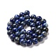 Chapelets de perles rondes en lapis-lazuli naturel G-E262-01-10mm-12