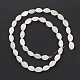 Eau douce naturelle de coquillage perles brins BSHE-E028-03-3