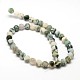 Natural Tree Agate Frosted Agate Round Gemstone Beads Strands X-G-O151-01-10mm-2