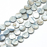 Chapelets de perles de coquillage naturel, teinte, plat rond, bleu cadet, environ 14 mm de diamètre, épaisseur de 3mm, Trou: 1~1.2mm, 28 pcs / chapelet, 16 pouce