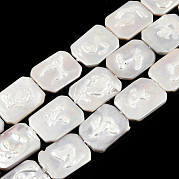 Покрытие нитей из натуральных пресноводных ракушек SHEL-N026-223