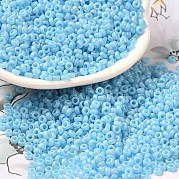 Выпечка краска стеклянные бусины SEED-P006-03A-26