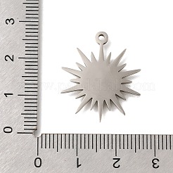 Подвески из нержавеющей стали 201 с защитой от потускнения STAS-B076-01P-05