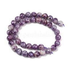 Натуральные лепидолитовые бусины G-U026-A06-10mm